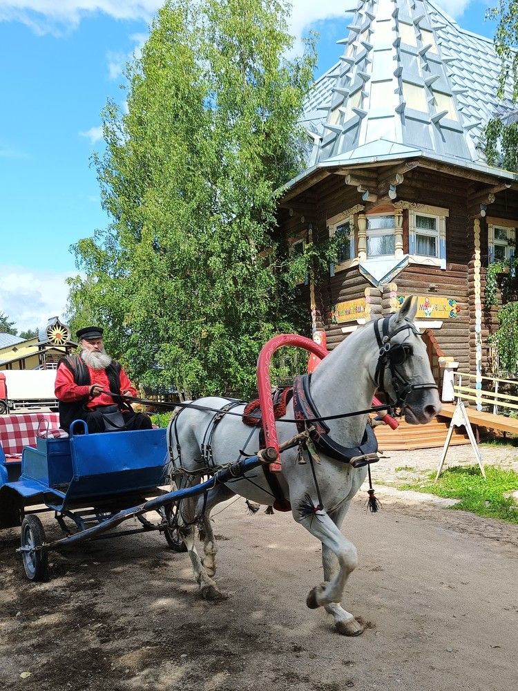 Фотография автора Елена Александрова
