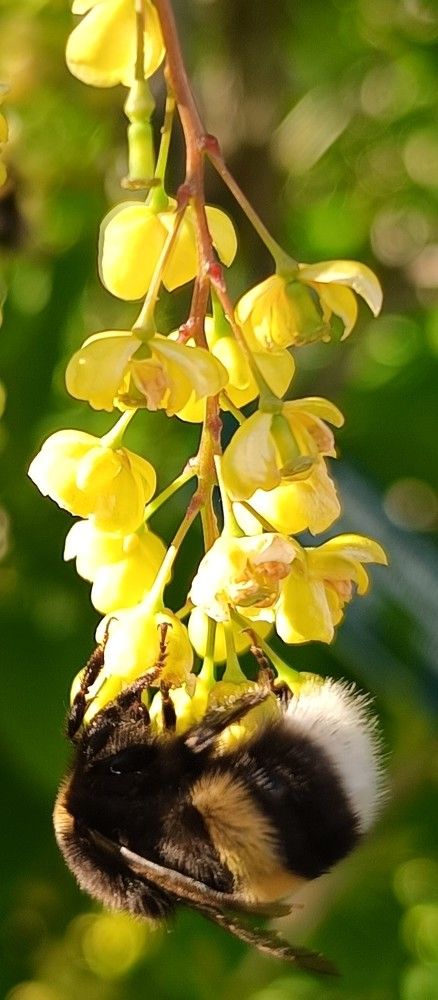 Фотография автора Елена Александрова