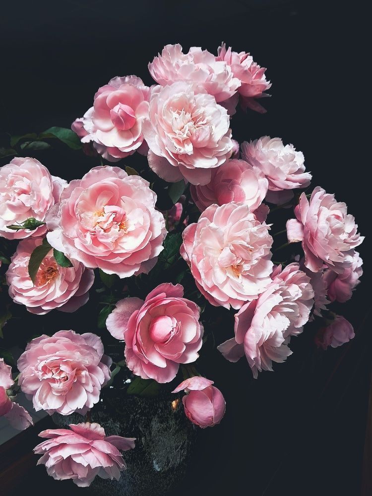 Photograph by NGUYEN LIEN