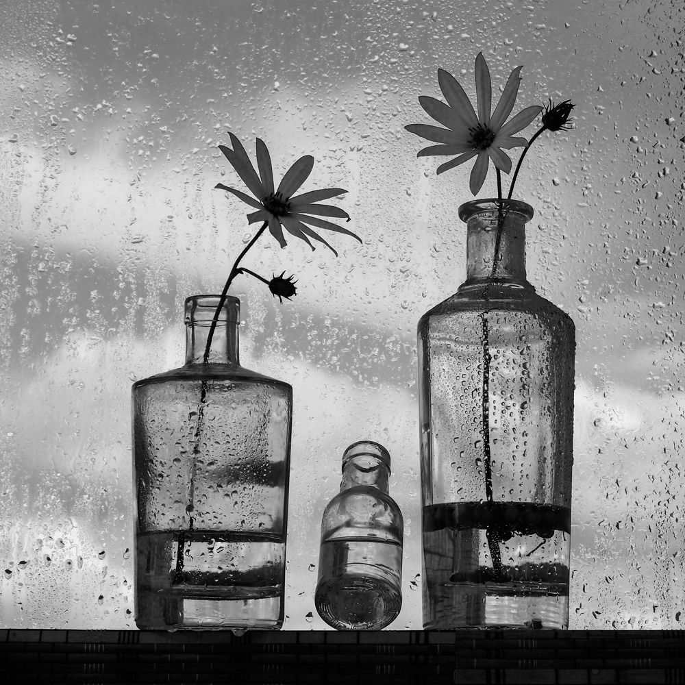 Без названия