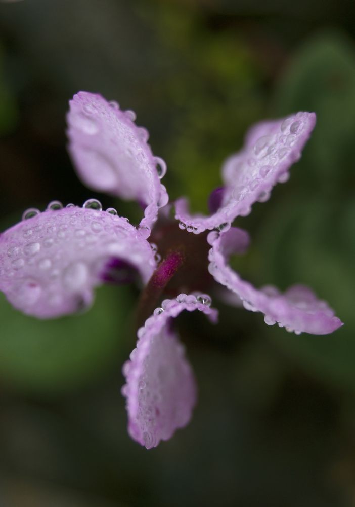 Photograph by Лена Максимкина