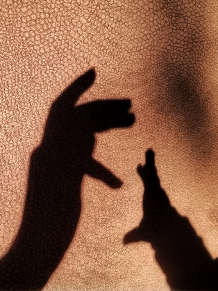 Photograph by Алина