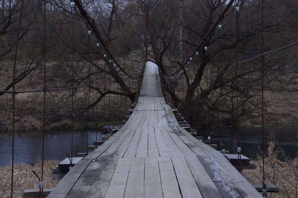 Photograph by Елена Щитова