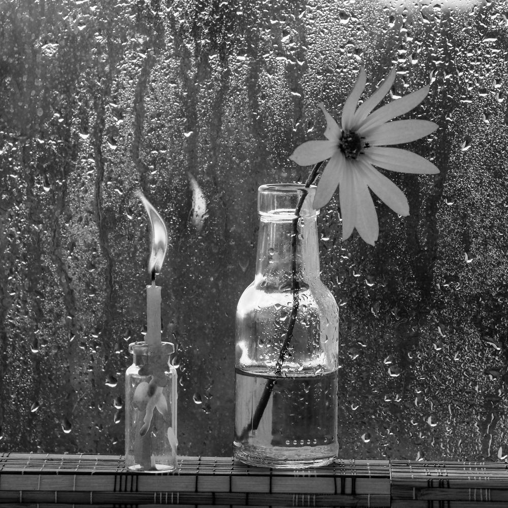 Без названия