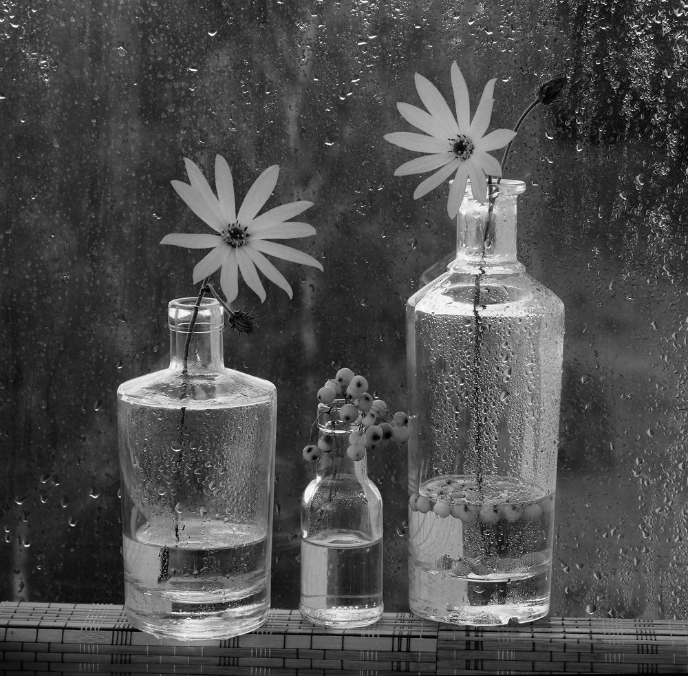 Без названия