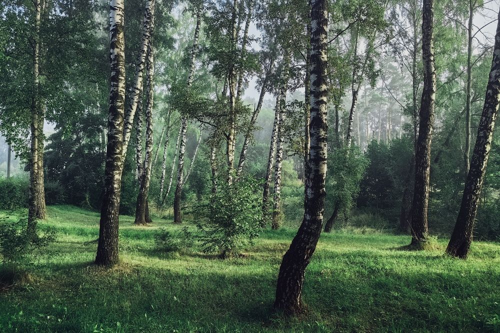 Photograph by Дмитрий Чебанов