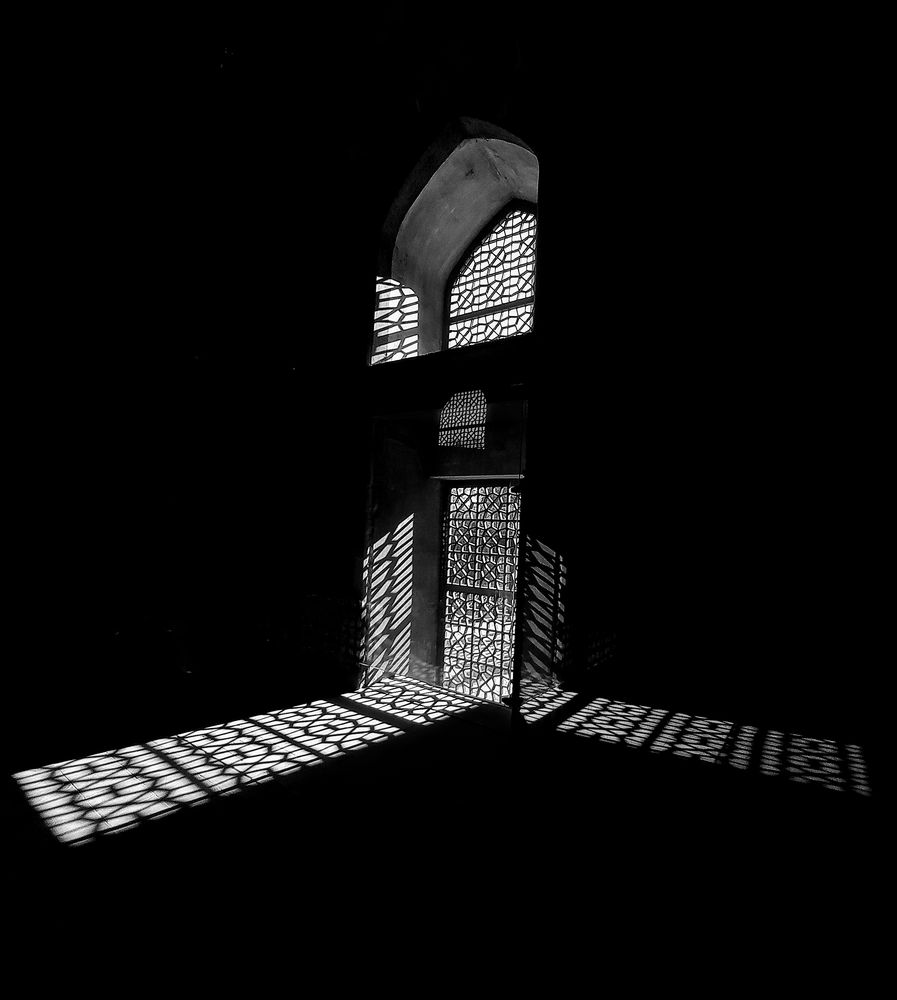 Photograph by Neda Kazemifard