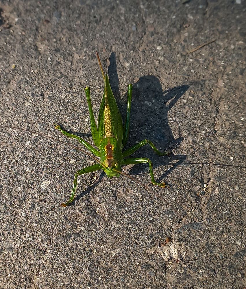 Photograph by Наталья