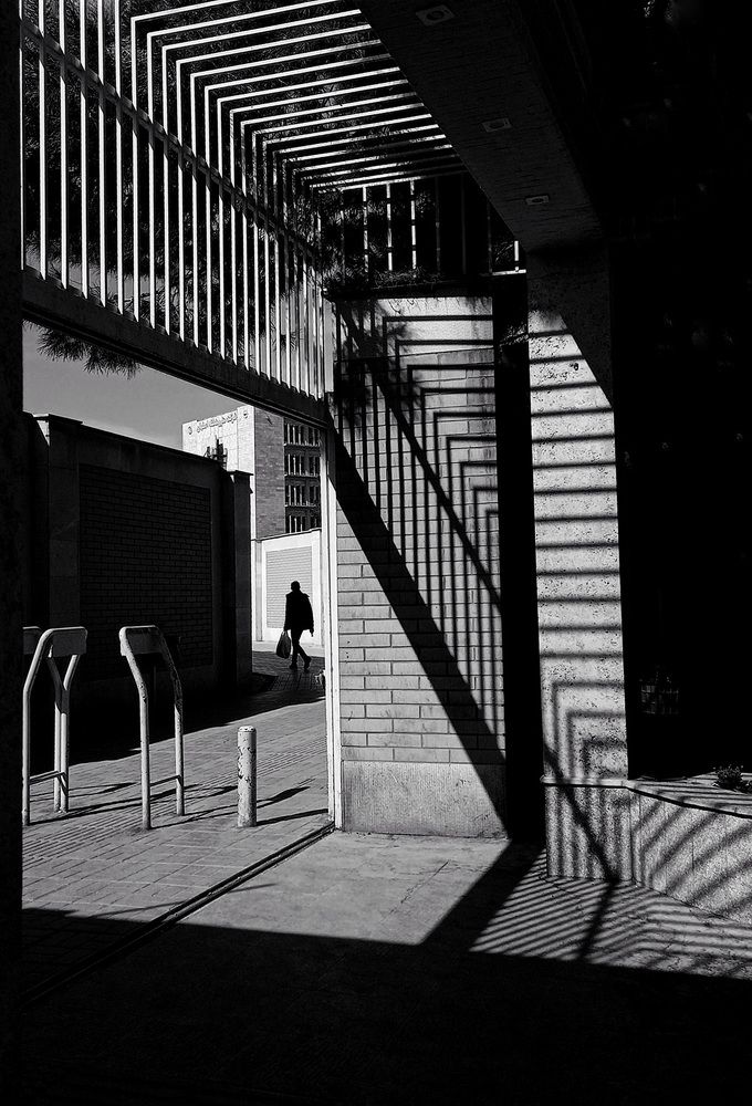 Photograph by Neda Kazemifard