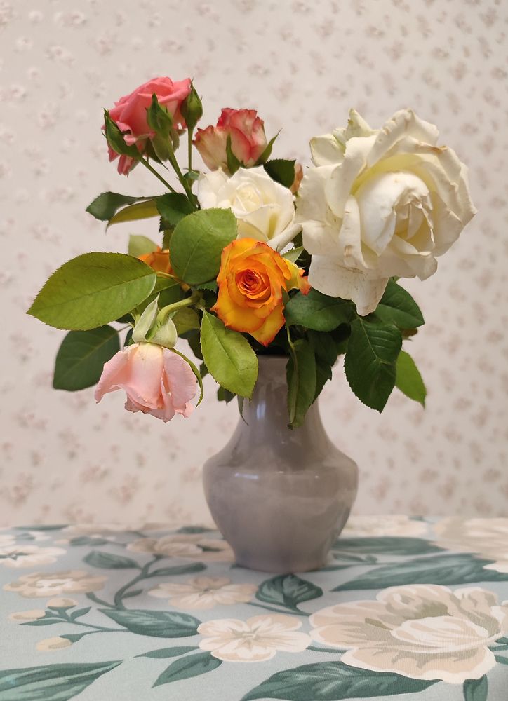 Photograph by Владимир Себякин