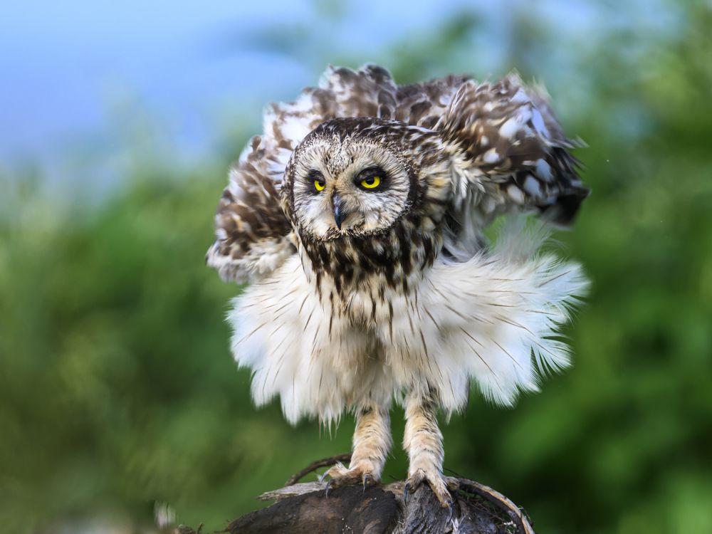 Photograph by Пупонин Сергей