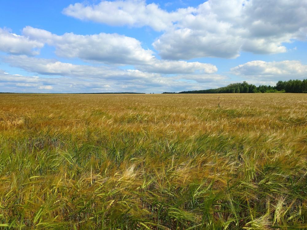 Photograph by Игорь Герасимов