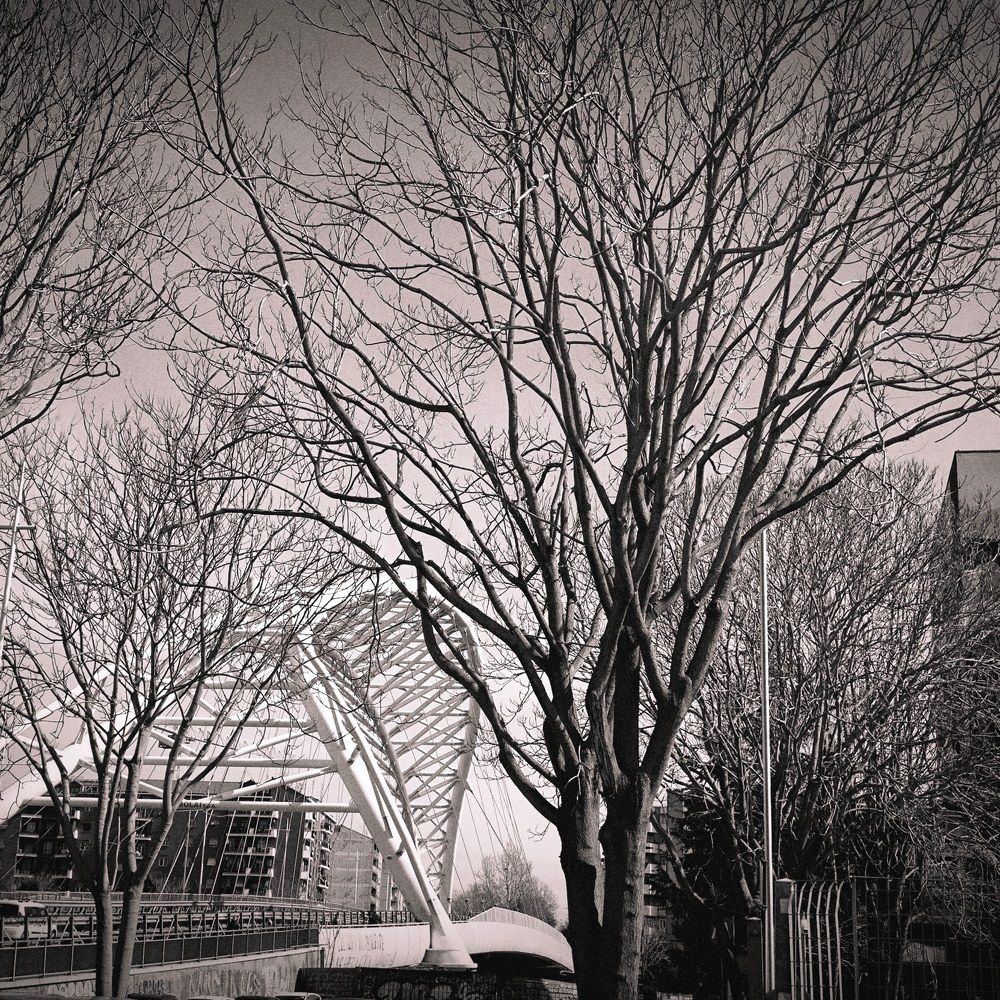 Photograph by DANIELA ROSSI