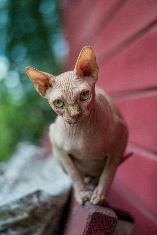 Photograph by Екатерина Медведева