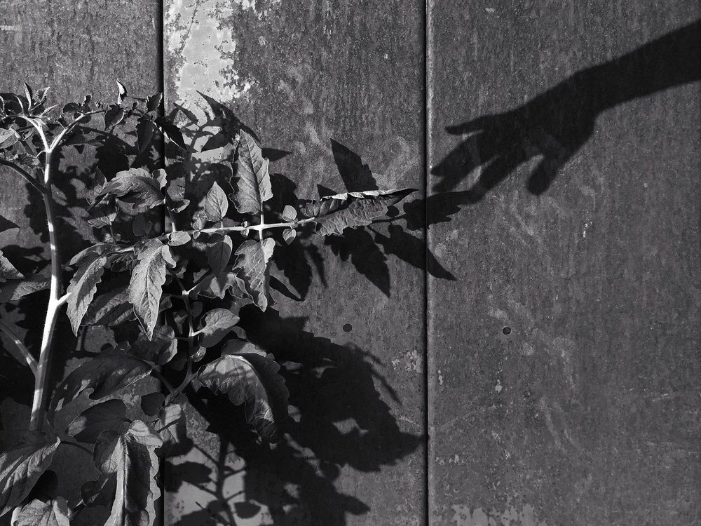 Фотография автора Наталья Агапова