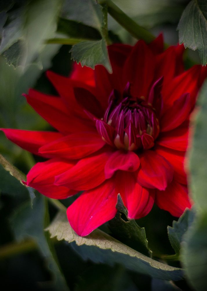 Photograph by Екатерина Медведева