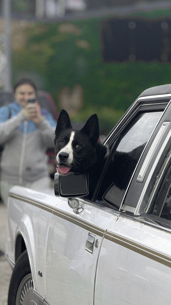 Фотография автора Anna Tikka