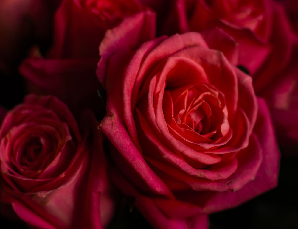 Photograph by Любовь Алексеева