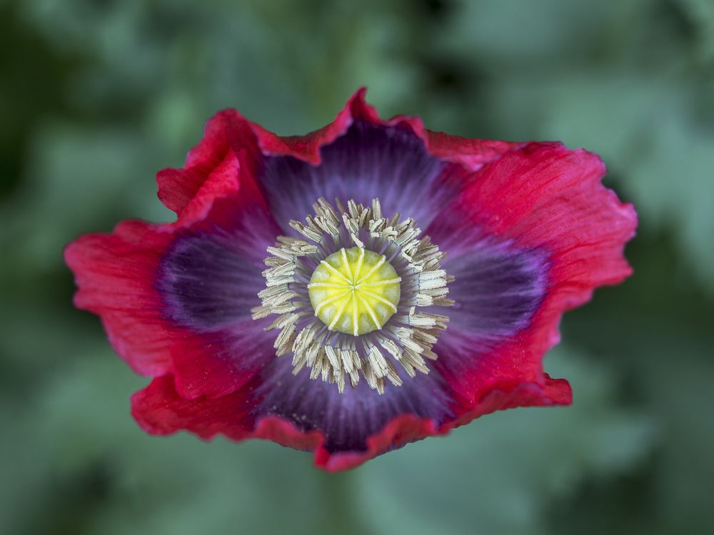 Фотография автора Uljana Kuchar