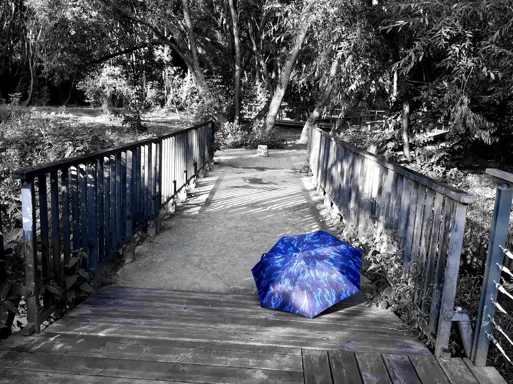 Photograph by Екатерина