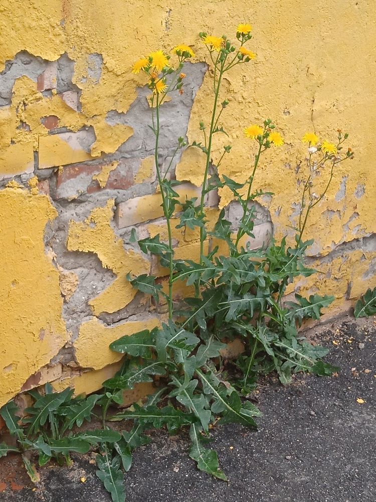 Photograph by Наталия Колемасова