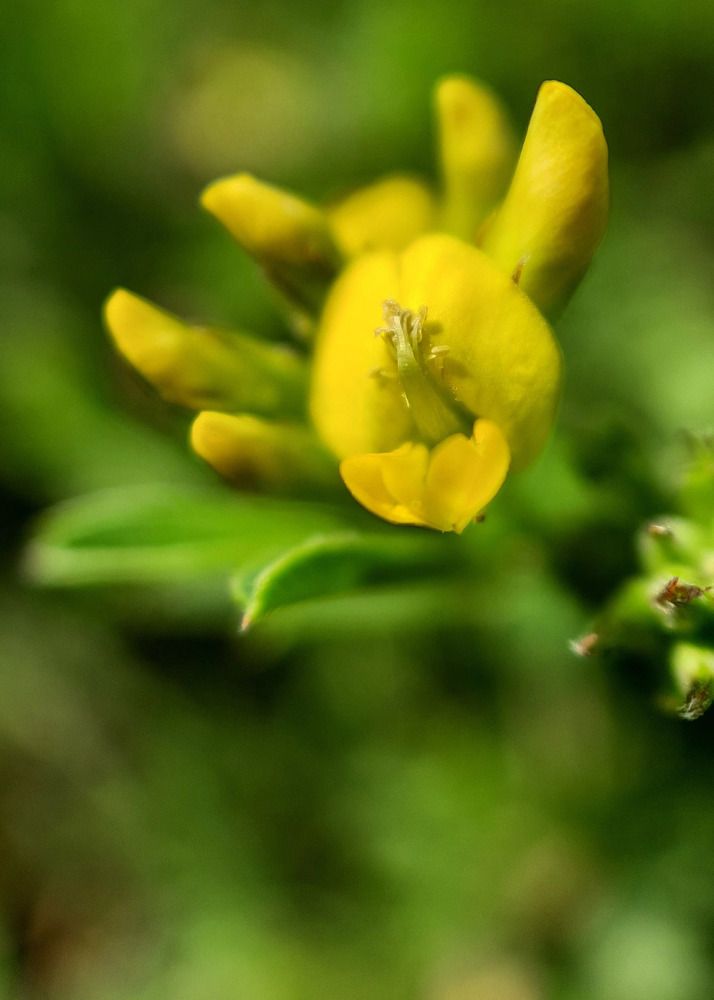 Фотография автора Ира Чудакова