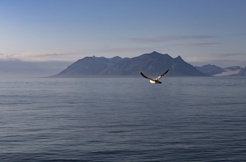 Photograph by Валентина Комарова