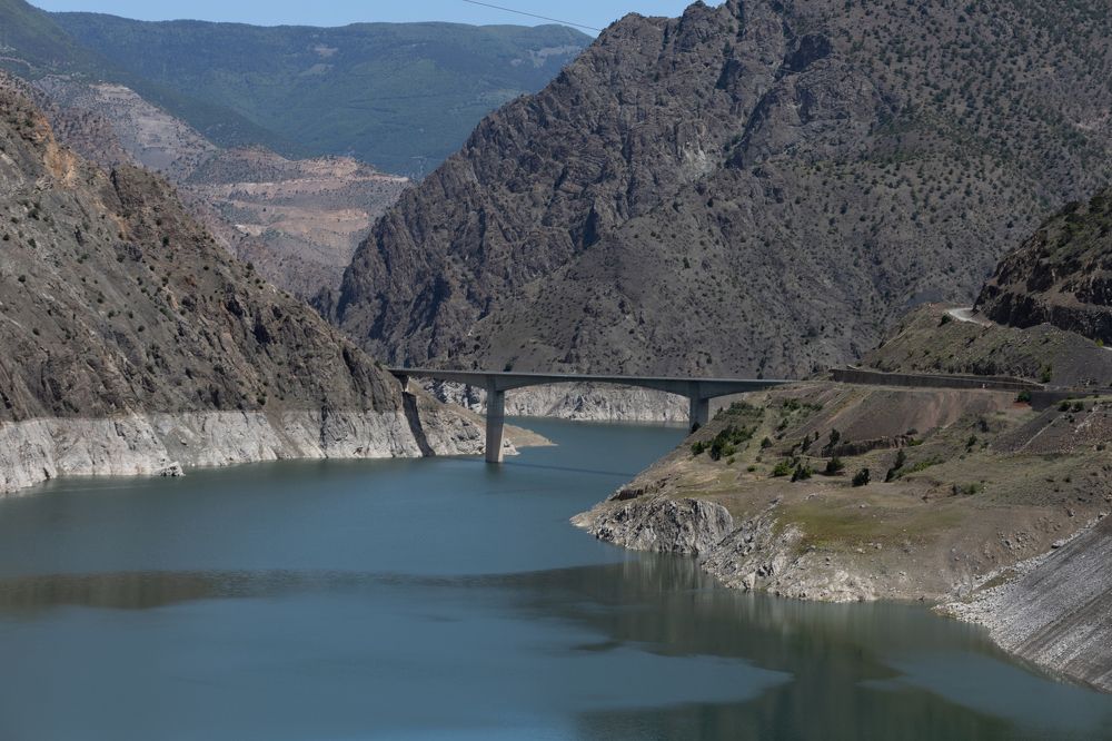 Photograph by Olga Min