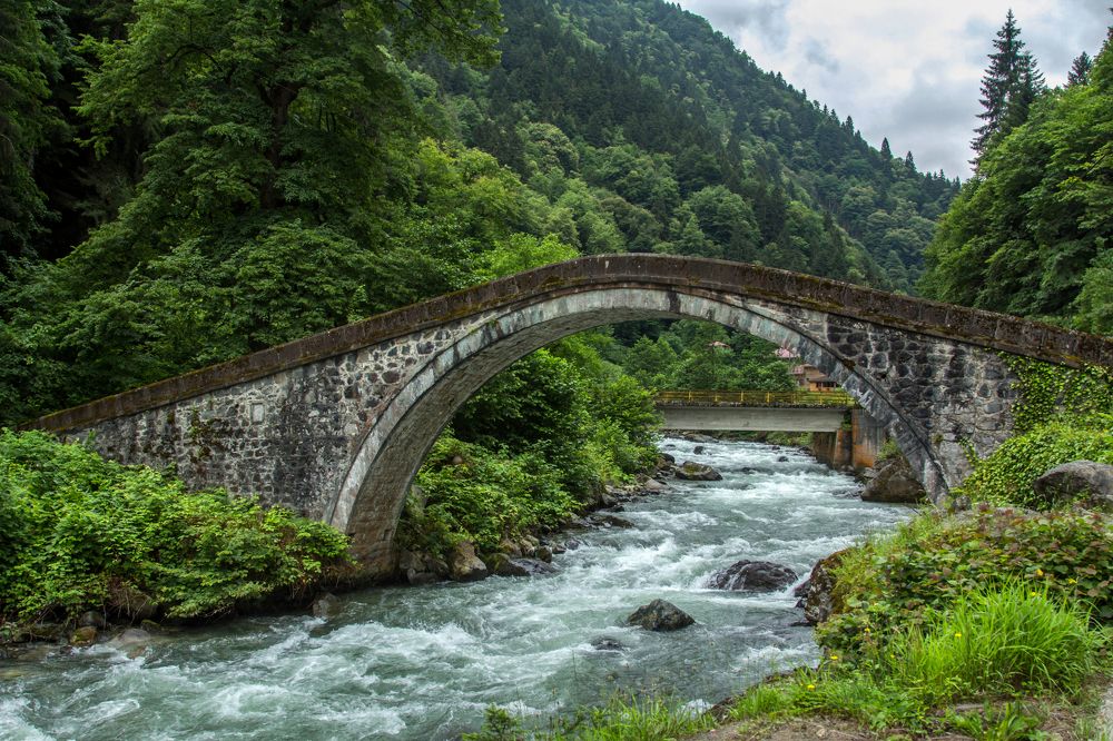 Photograph by Olga Min