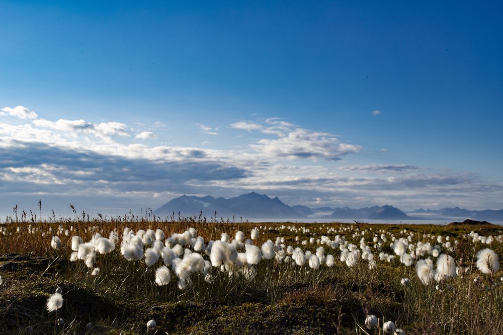 Photograph by Валентина Комарова