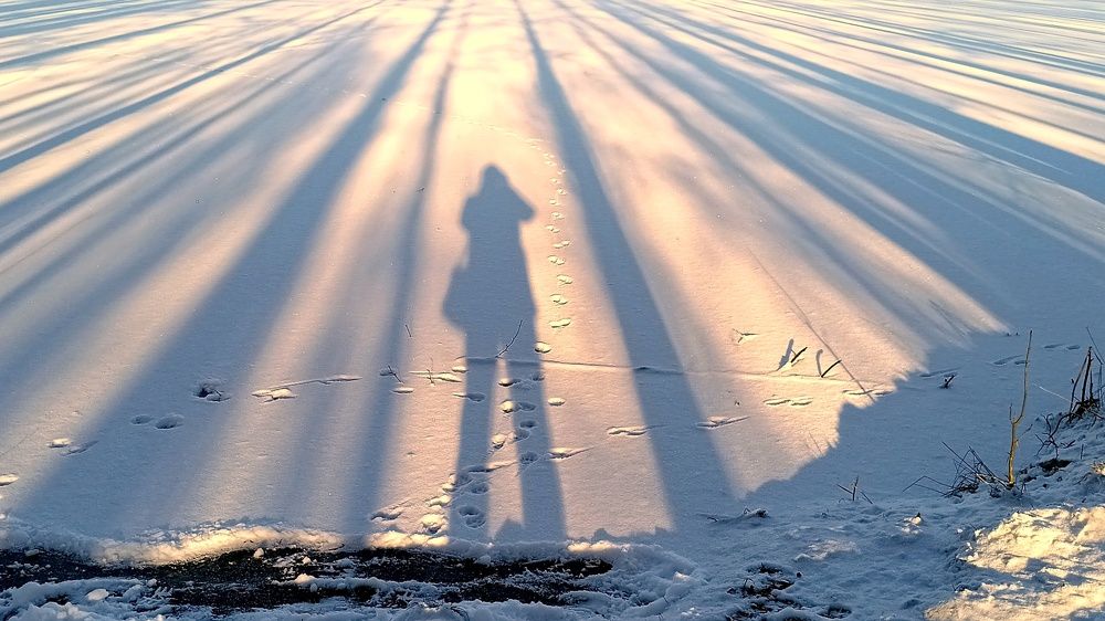 Фотография автора Алексей Макаров