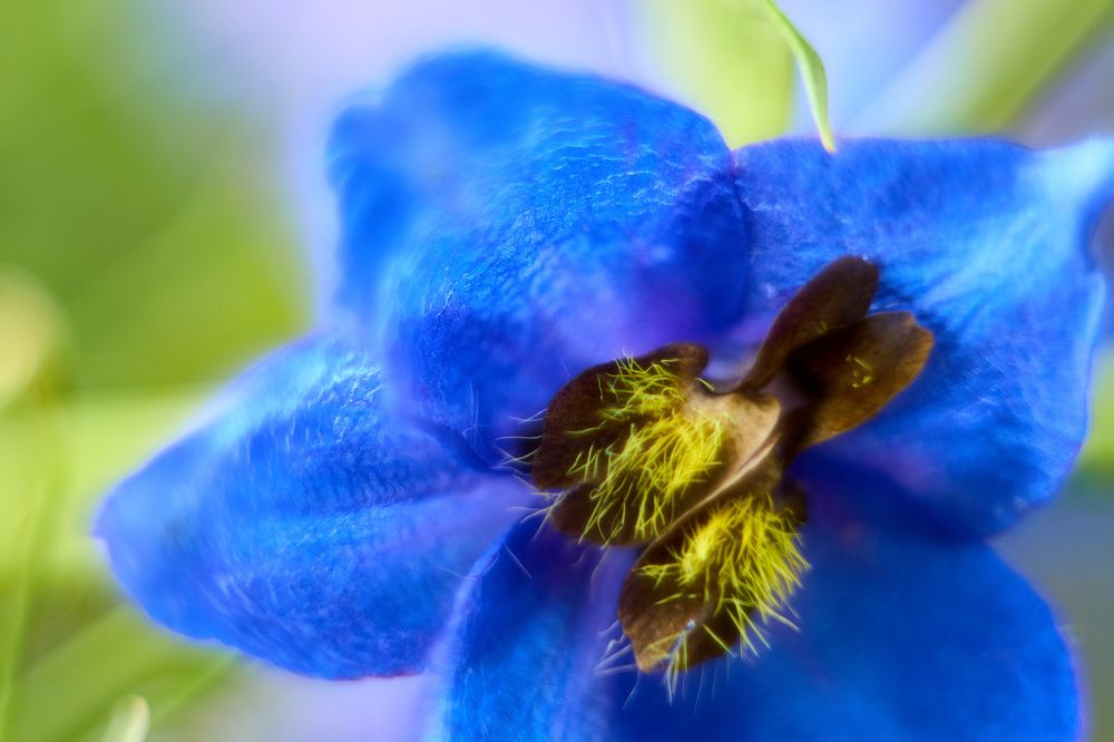 Photograph by Константин Федяев