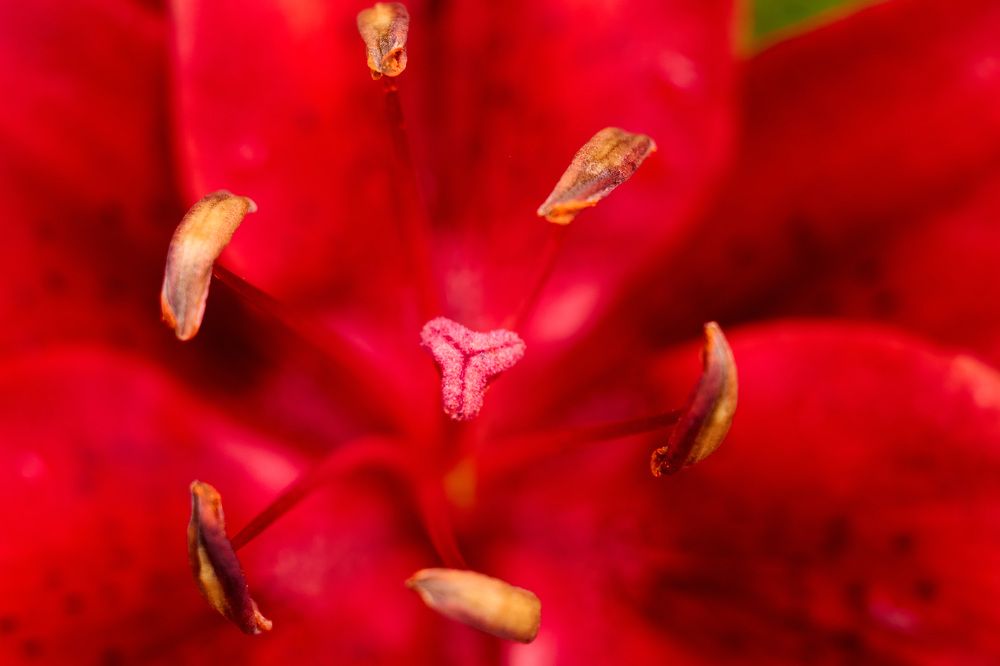 Photograph by Константин Федяев