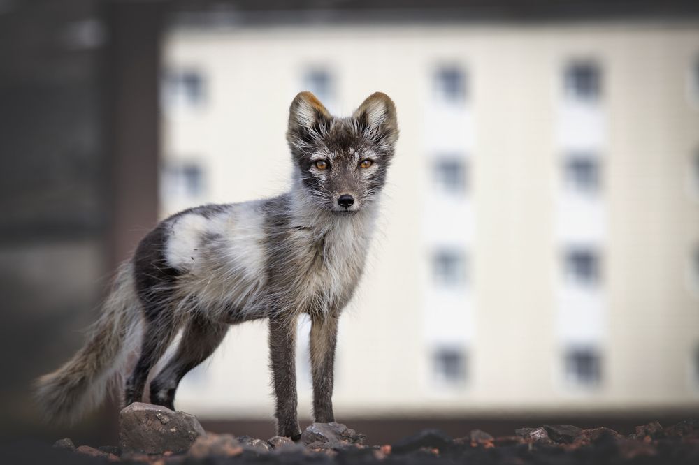 Photograph by Валентина Комарова