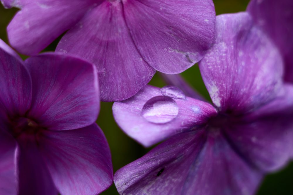 Photograph by Константин Федяев