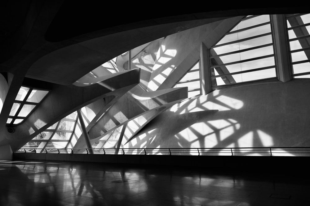 Between lines and light