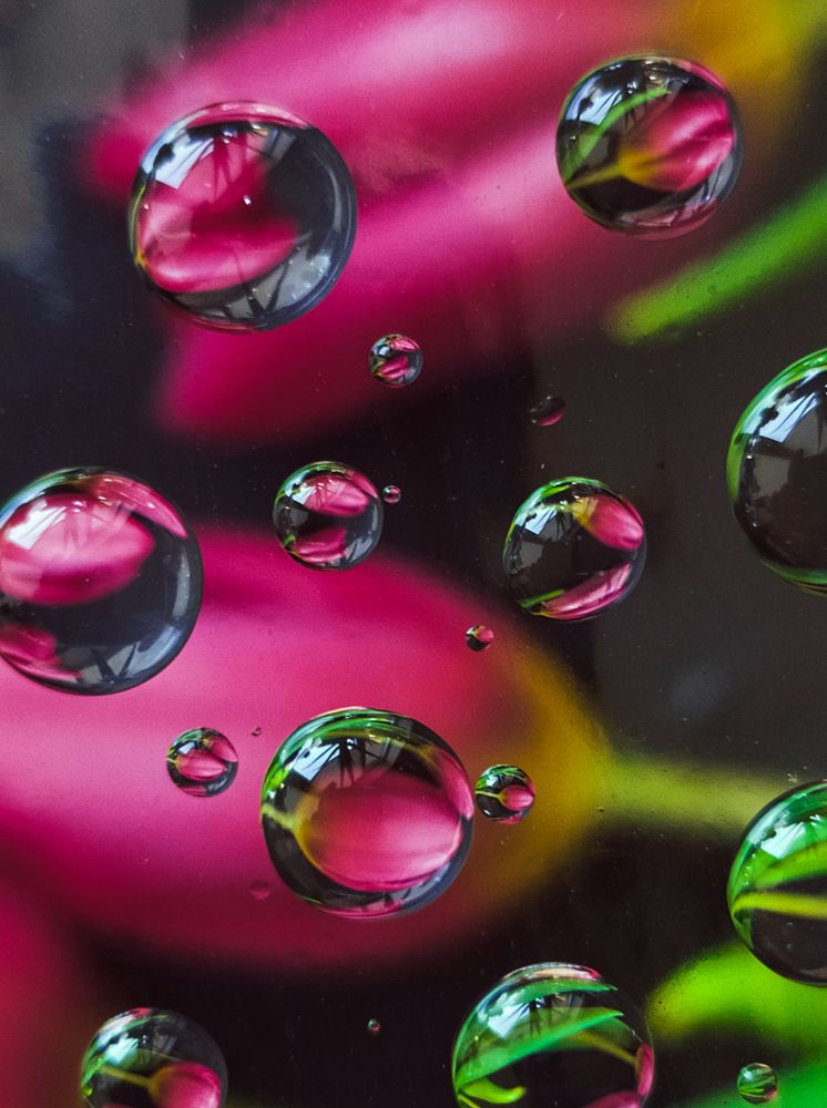 Photograph by Людмила Емельянчикова