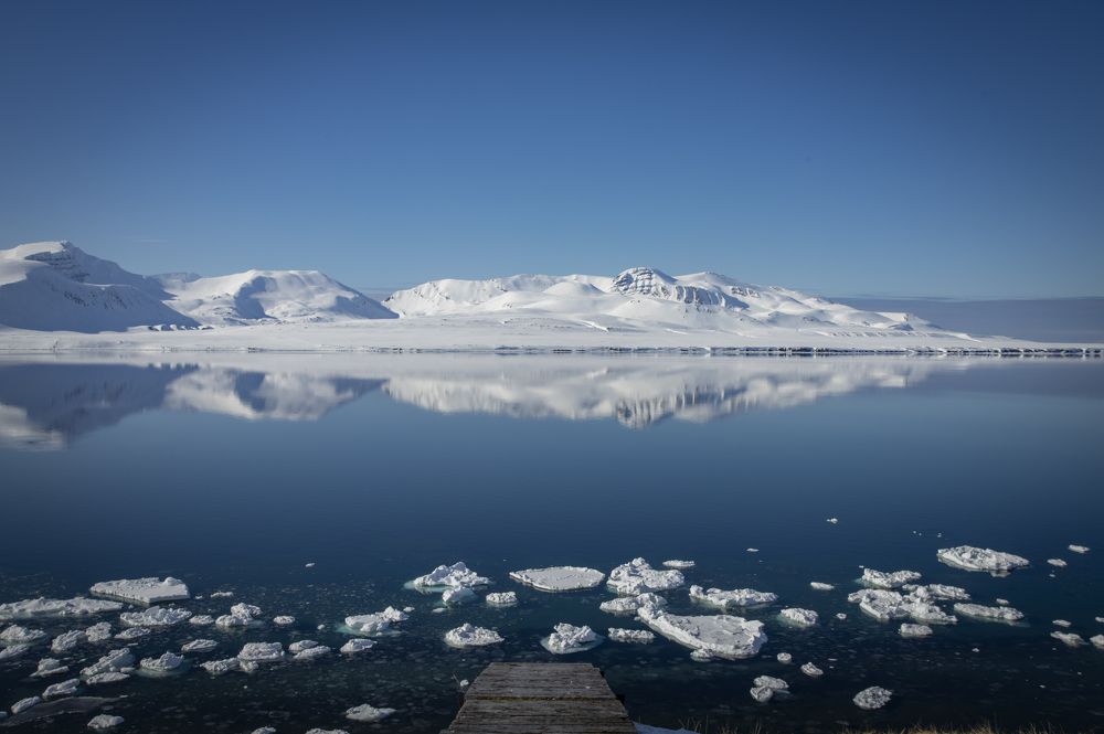 Photograph by Валентина Комарова