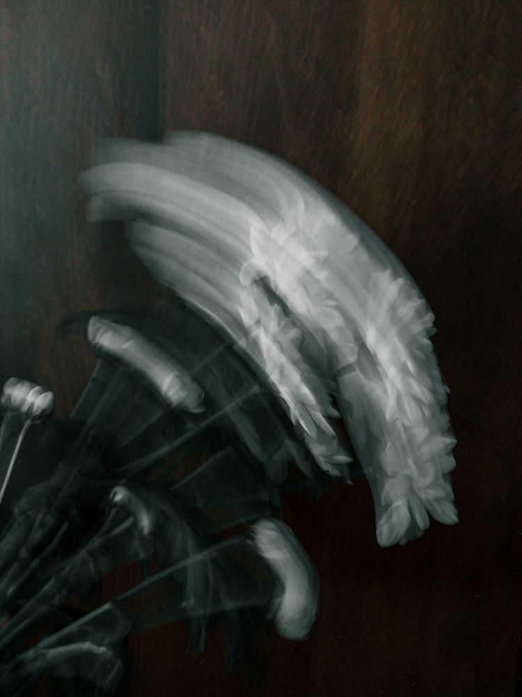 Фотография автора Людмила Емельянчикова