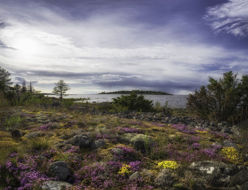 Photograph by Александр Корнейчев