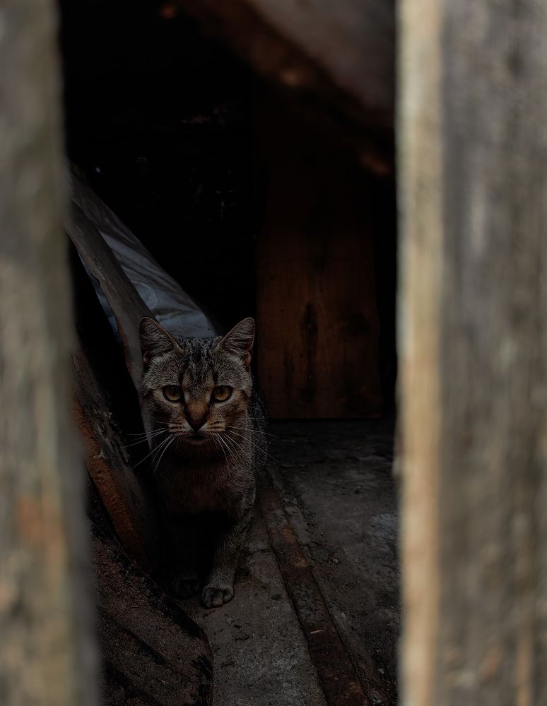 Photograph by Наталья Жуковская