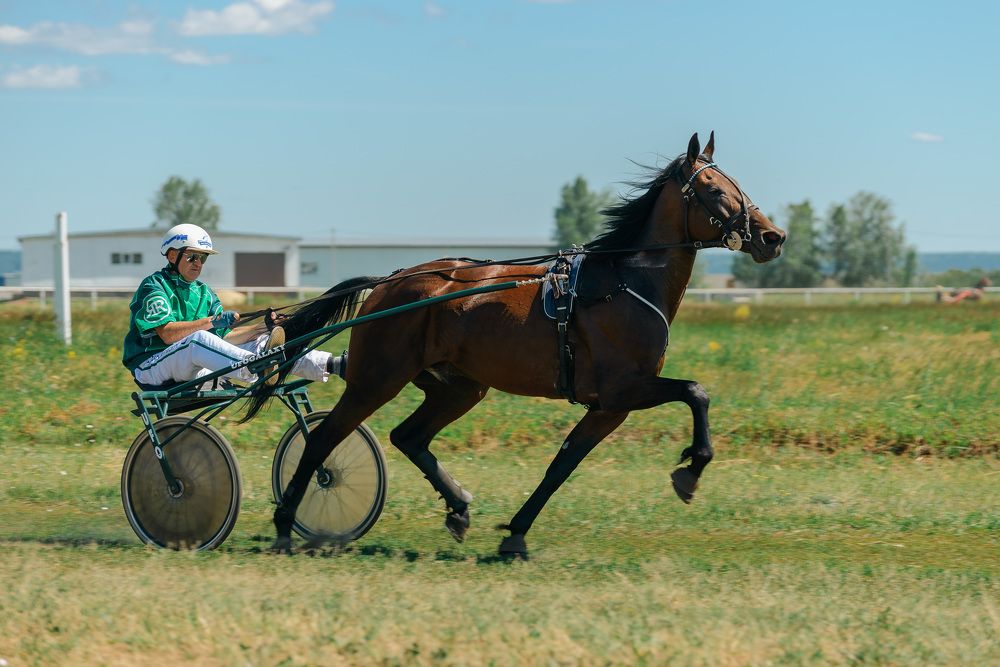 Photograph by Олег Титкин