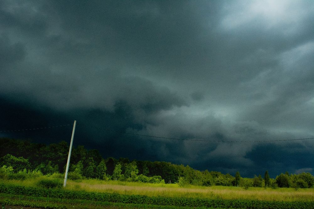 Photograph by Onyx X