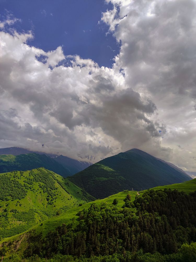 Photograph by Tatiana