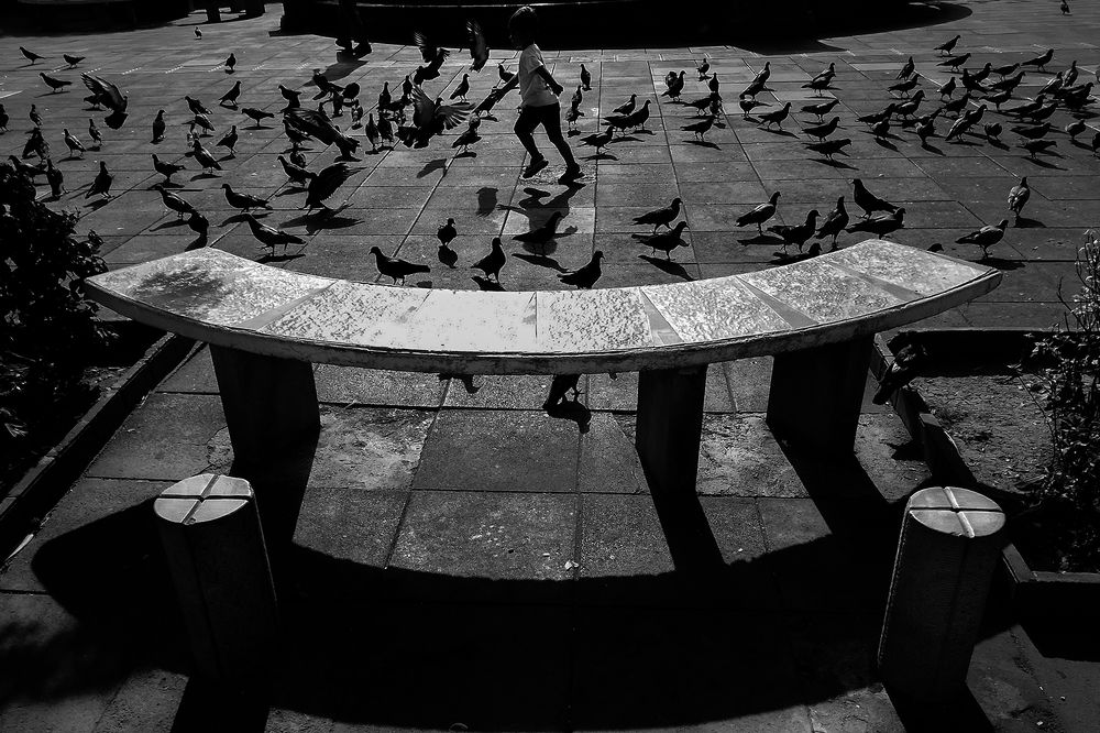 Photograph by hasan sorena jouri