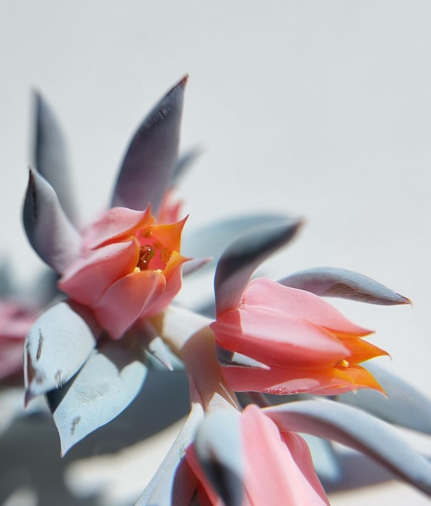 Photograph by Оксана Лоншакова