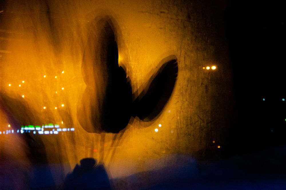 Photograph by Павел Герасимов