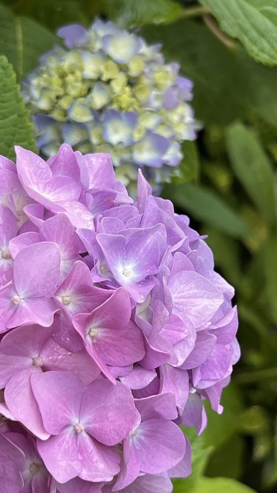 Photograph by Елена Мизина