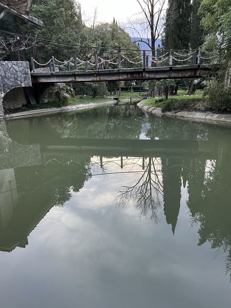 Photograph by Елена Мизина