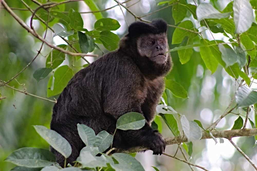 Фотография автора Márcia Cristina Machado